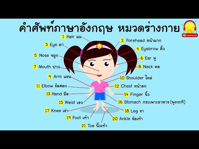 เรียนสนุก คำศัพท์ภาษาอังกฤษเกี่ยวกับร่างกาย