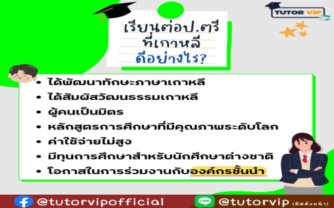 รีวิว palfish ดีจริงไหม ผู้ปกครองควรรู้อะไรบ้างก่อนตัดสินใจ