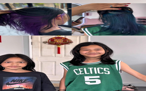 เทียบ Palfish ราคากับเจ้าอื่น (อันไหนดีกว่า เลือกยังไง)