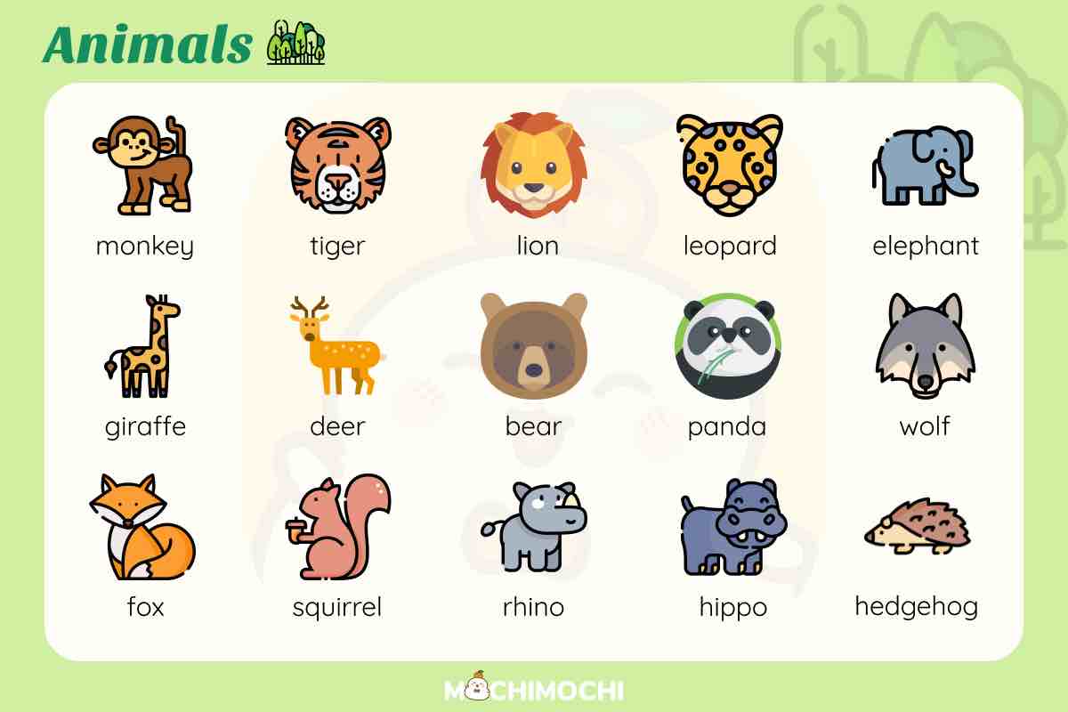 คำศัพท์ภาษาอังกฤษเกี่ยวกับสัตว์ เรียนง่าย จำไว ใช้ได้จริง