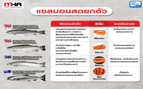 รีวิวของ palfish thailand ข้อดีข้อเสีย มีอะไรบ้างก่อนตัดสินใจสมัคร