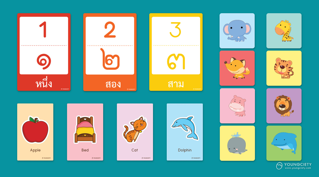 บัตรคำศัพท์ภาษาอังกฤษสำหรับเด็ก เริ่มต้นเรียนรู้ เสริมพัฒนาการให้ลูกน้อย