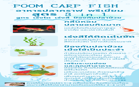 Palfish Class ราคาเท่าไร? รวมค่าใช้จ่ายทั้งหมดที่ควรรู้ก่อนเรีย