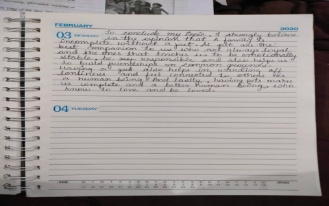 อยากชนะการแข่งขันพูดภาษาอังกฤษรุ่นที่ 13 แนะนำเทคนิคเด็ด 3 ข้อ