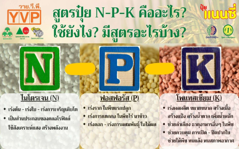 เน้นโครงสร้าง คำถามหลัก + เคล็ดลับ/ตัวเลข ตามตัวอย่าง เช่น ใช้ รวม 5 สถานที่/วิธีเลือก/เคล็ดลับ